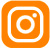 icon instagram